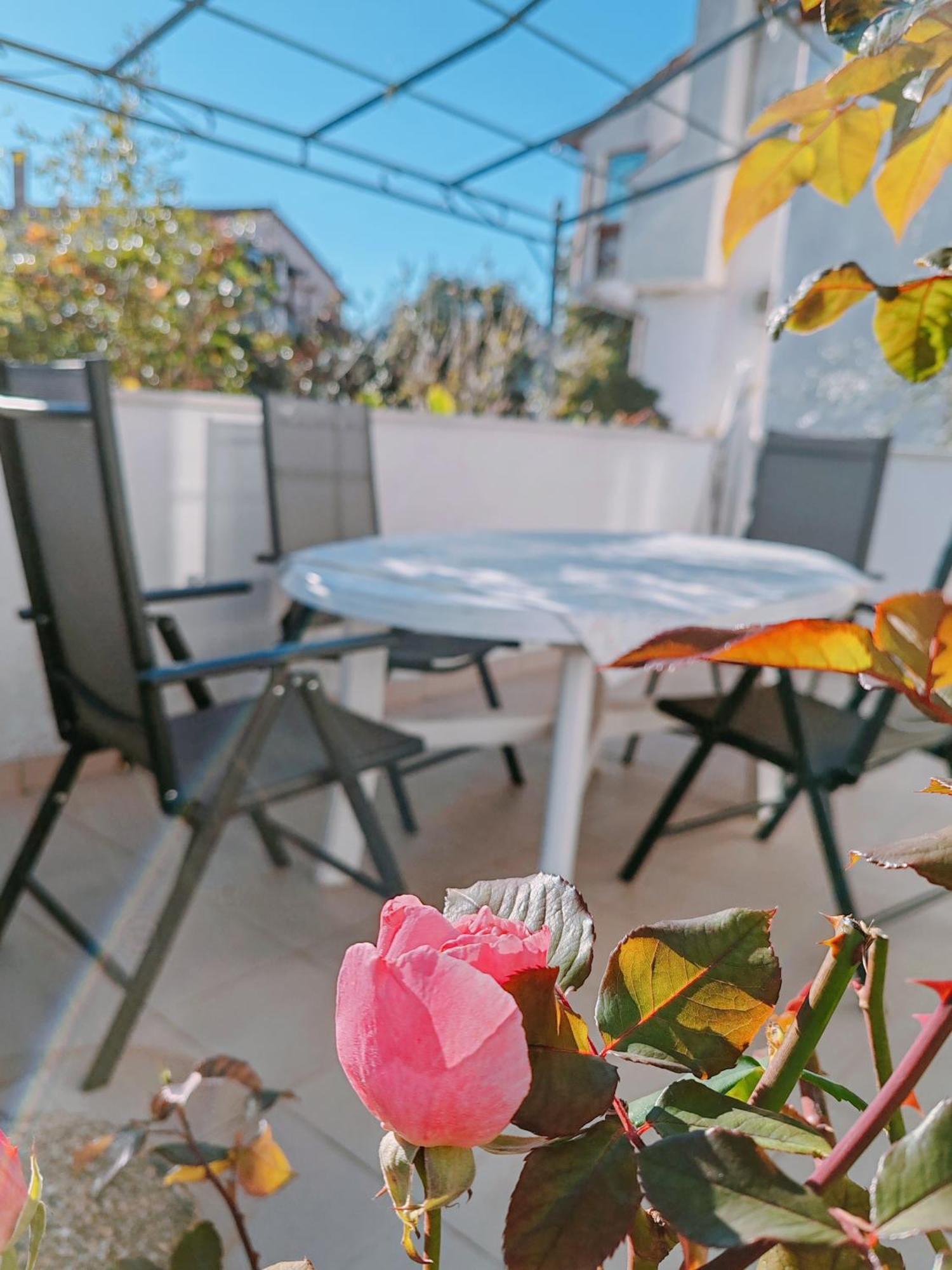 Marko Apartment Rovinj Exterior photo